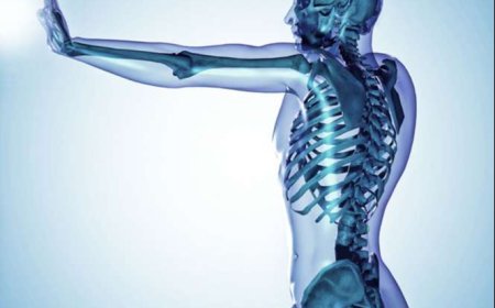 Những thực phẩm giúp xương chắc khỏe