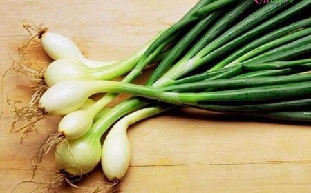 10 lợi ích bất ngờ của củ hành hoa