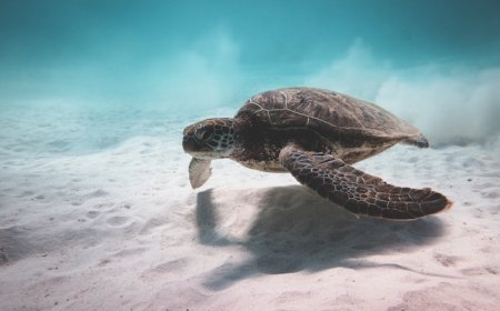 Tìm hiểu và khám phá về vấn đề vô sinh