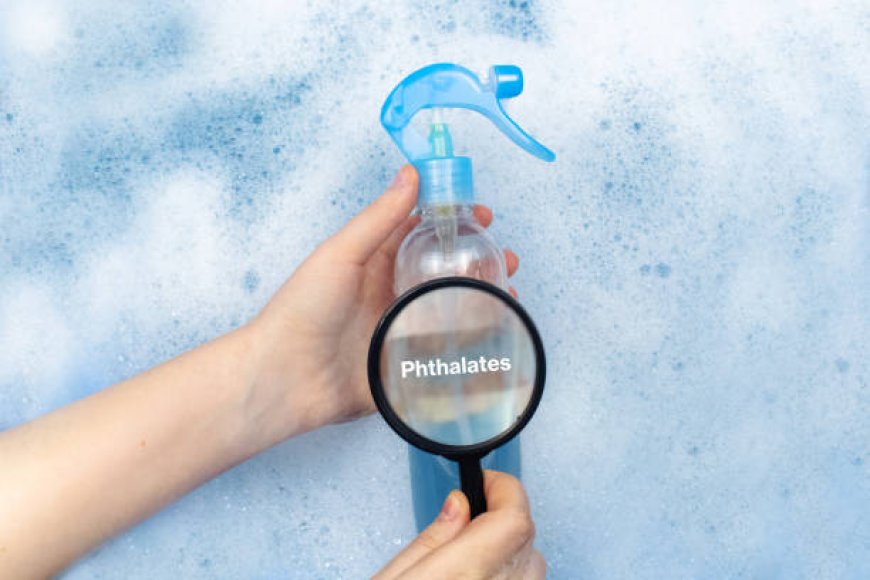 Tìm hiểu về Phthalates và sự an toàn cho trẻ