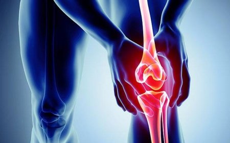 Bệnh thoái hóa khớp đầu gối: Triệu chứng và cách điều trị