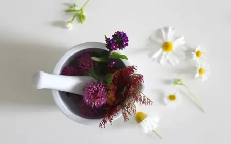 6 Cách Se Khít Lỗ Chân Lông Da Mặt Hiệu Quả và An Toàn