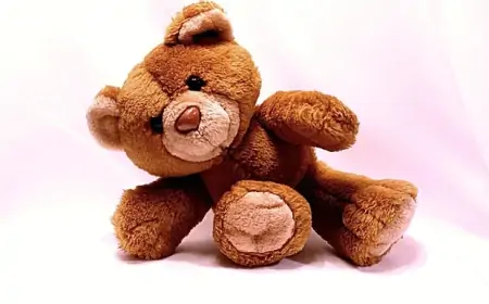 Sinh Hoạt Lành Mạnh - Bí Quyết Cho Cuộc Sống Hạnh Phúc và Khỏe Mạnh