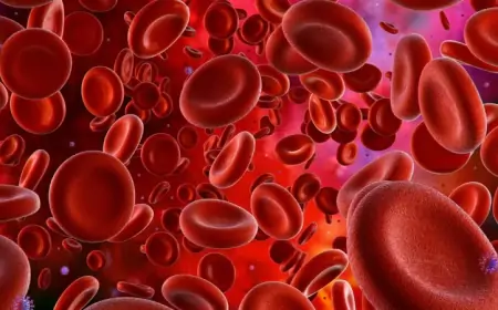 Cách để tăng số lượng tế bào hồng cầu